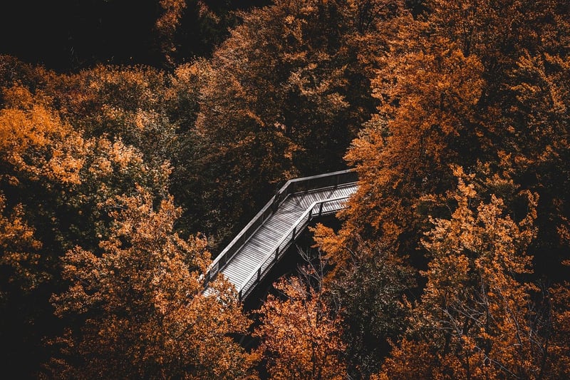 Mindful Hiking