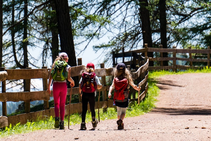 Mindful Hiking in the Forest